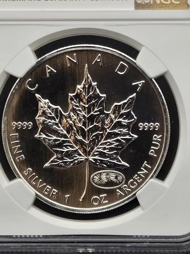 imagetitle | Tegory | Edgewood Coin image title Tegory | Edgewood Coin