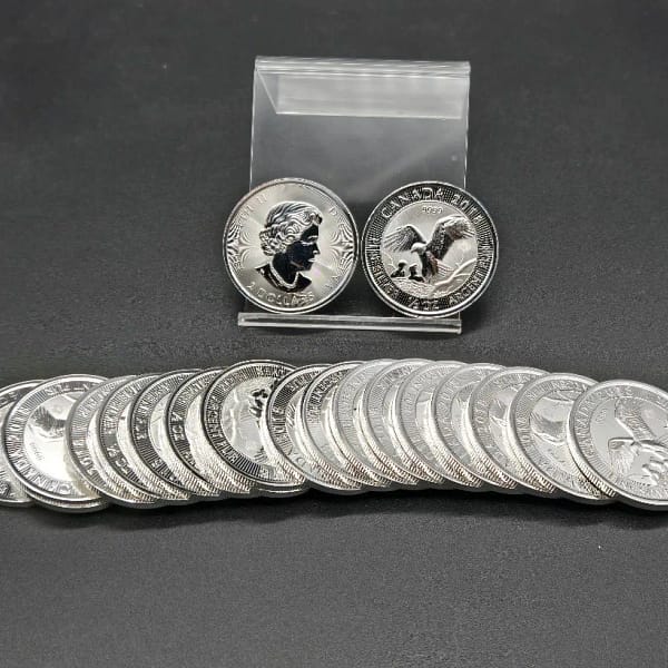 imagetitle | Tegory | Edgewood Coin image title Tegory | Edgewood Coin