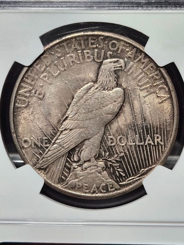 1921 NGC AU58 High Relief Peace Dollar - Image 3