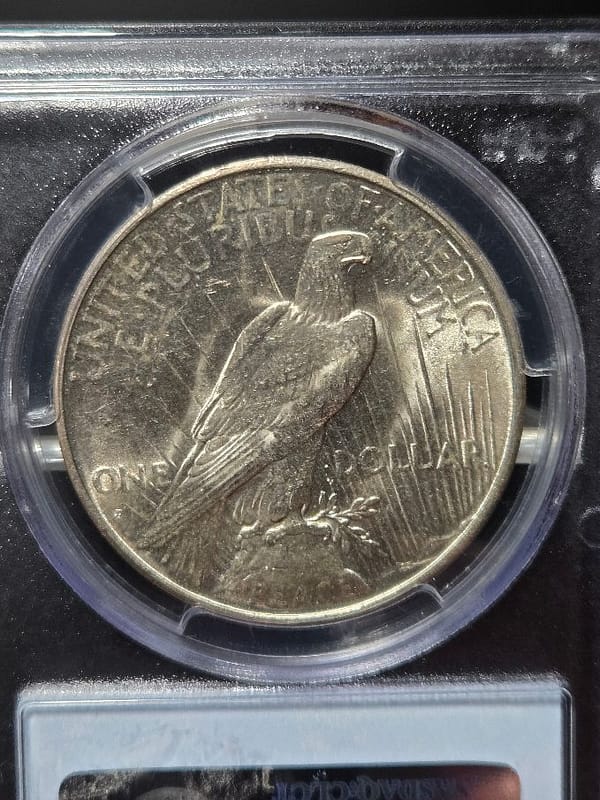 1934-D PCGS MS62 Peace Dollar - Image 3
