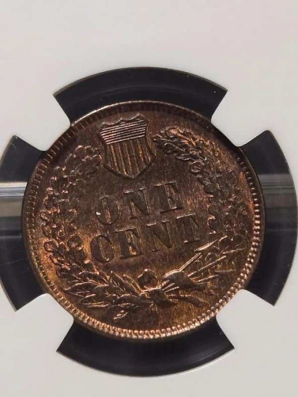 image title   Tegory | Edgewood Coin