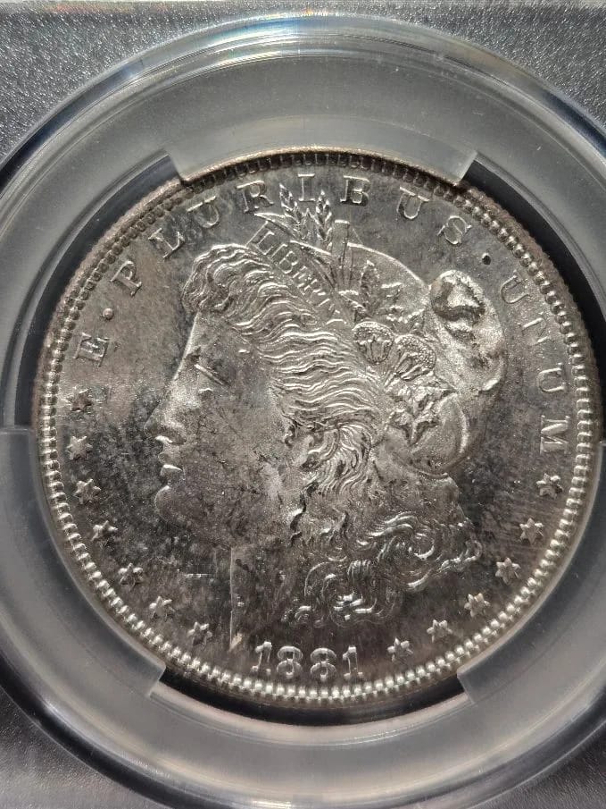 imagetitle | Tegory | Edgewood Coin image title Tegory | Edgewood Coin