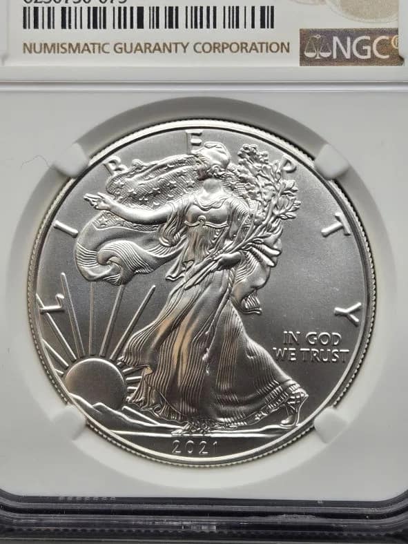 2021(W) Silver Eagle MS70 NGC