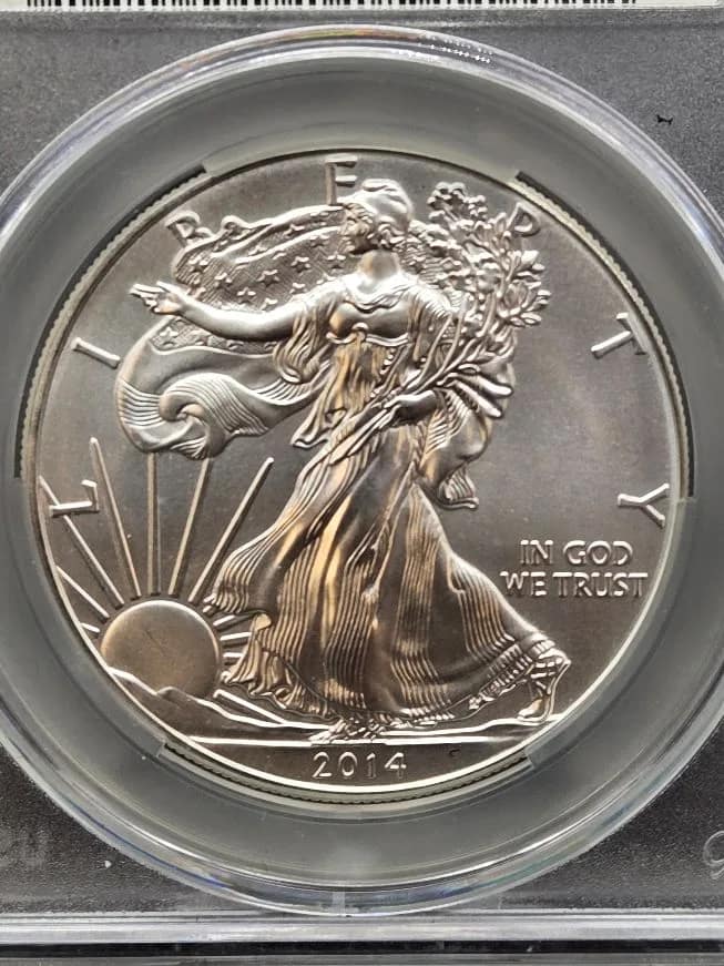 2014 Silver Eagle MS69 CAC