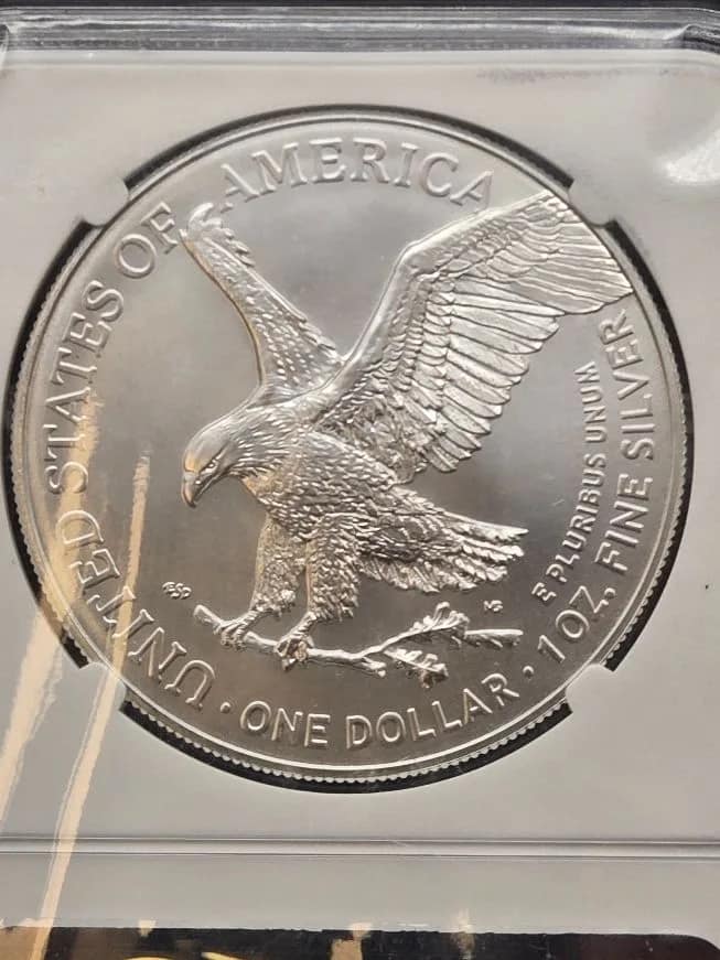 2026 Silver Eagle MS70 NGC UB Label