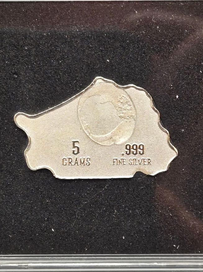 Pan Silver 5 GramShip